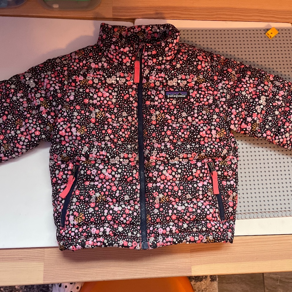 Toddler size 3 Patagonia coat